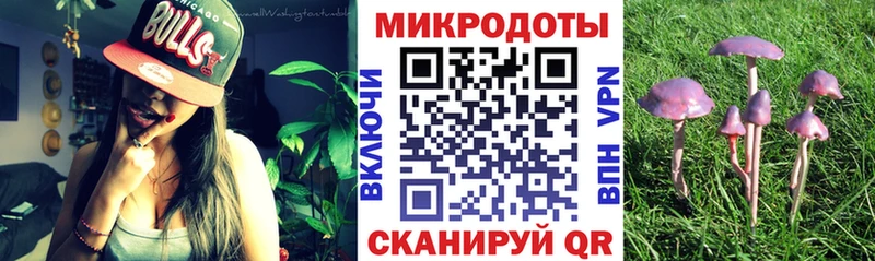Галлюциногенные грибы MAGIC MUSHROOMS  мориарти как зайти  Елизаветинская 